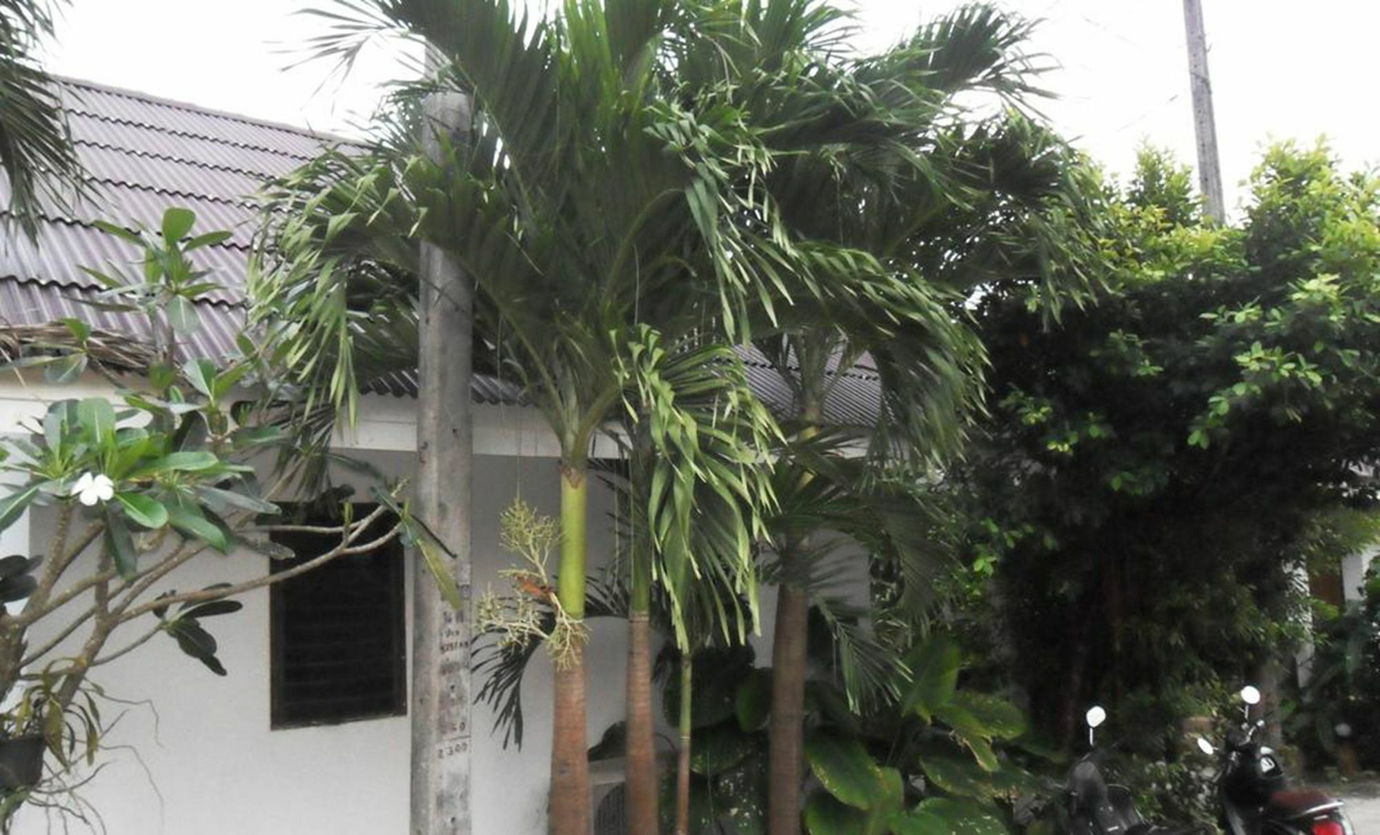 Aonang SR Bungalows Ao Nang Bagian luar foto